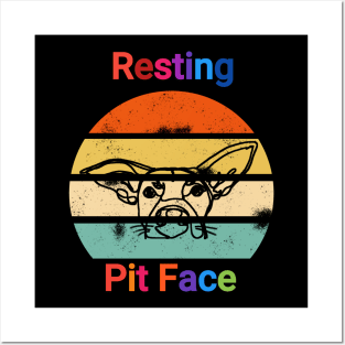 Vintage resting pit face dog Posters and Art